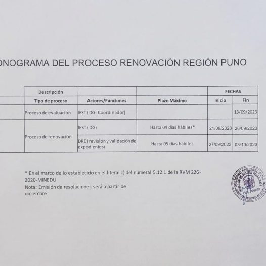 Cronograma del Proceso de Renovación Región Puno